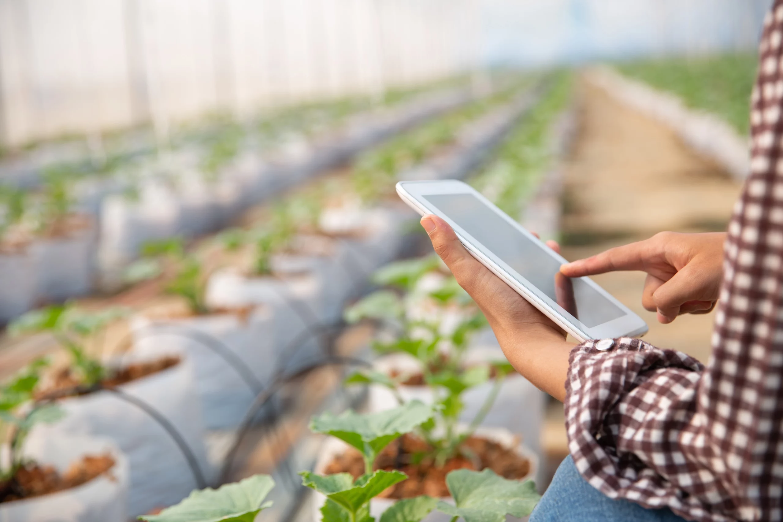 young-woman-controlling-plantation - GrainCom Events