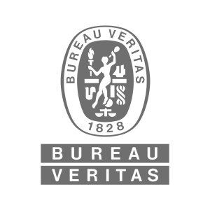 Logo Bureau_Veritas