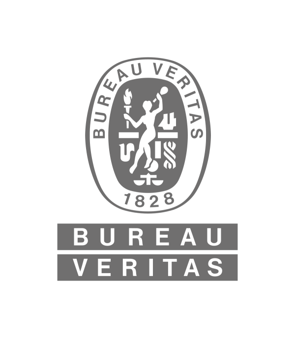 Logo Bureau_Veritas